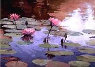 Water Lilies II